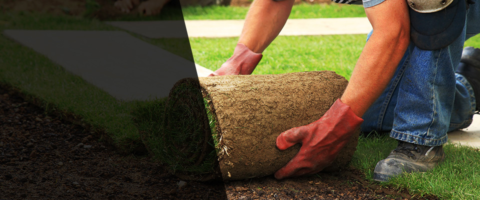 East Islip Landscapers